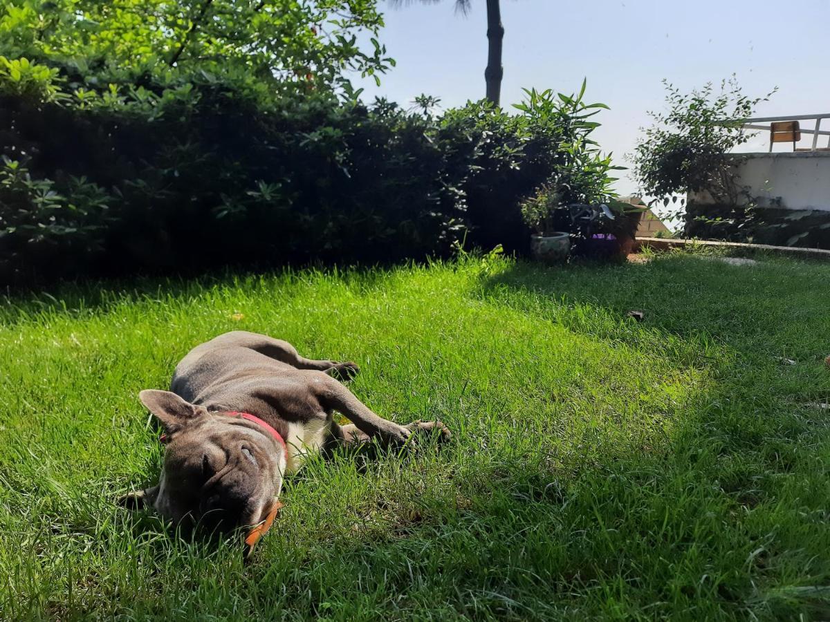 Manzaraada Tepe Daire Heybeliada Dış mekan fotoğraf